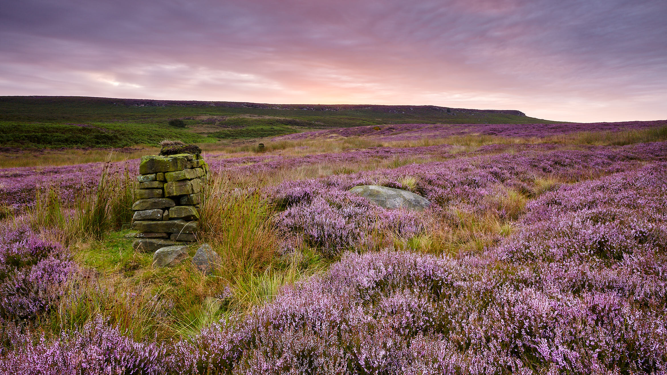 Purple Dawn - Beeley Moor / High Stone Gallery / © Ian Daisley