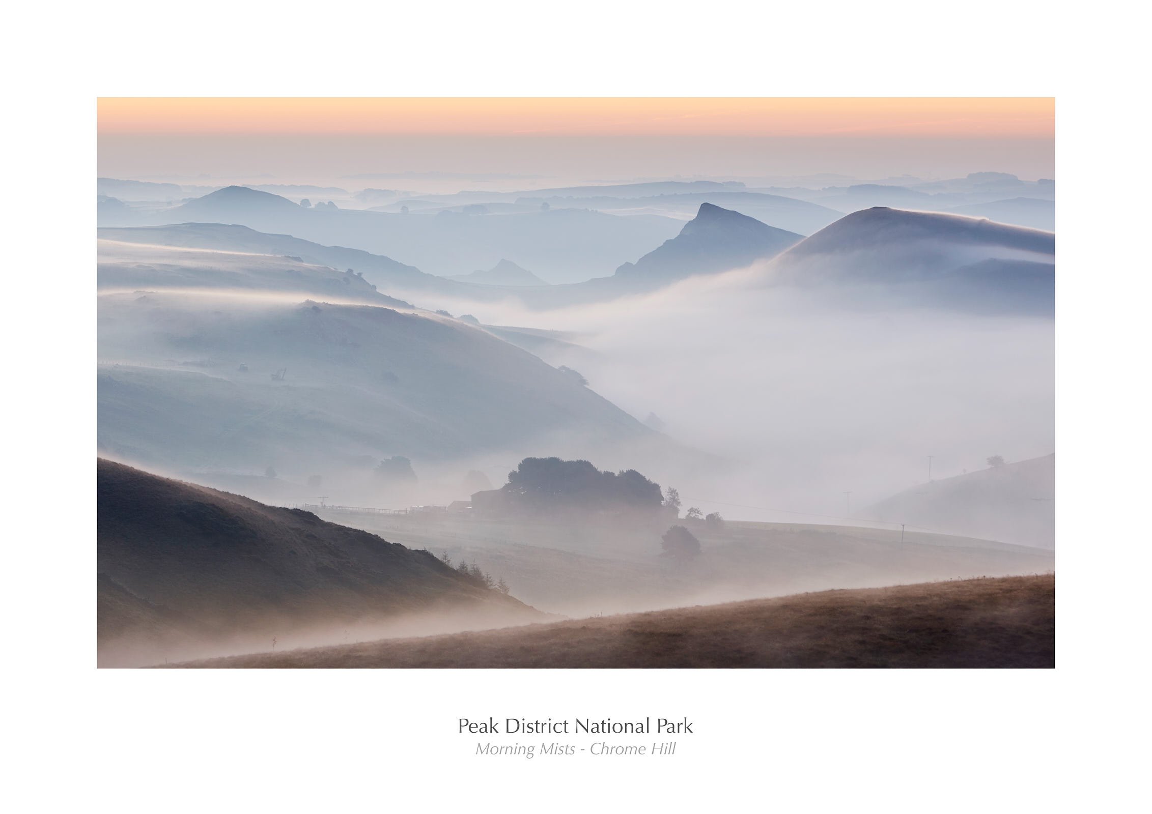 Morning Mists - Chrome Hill