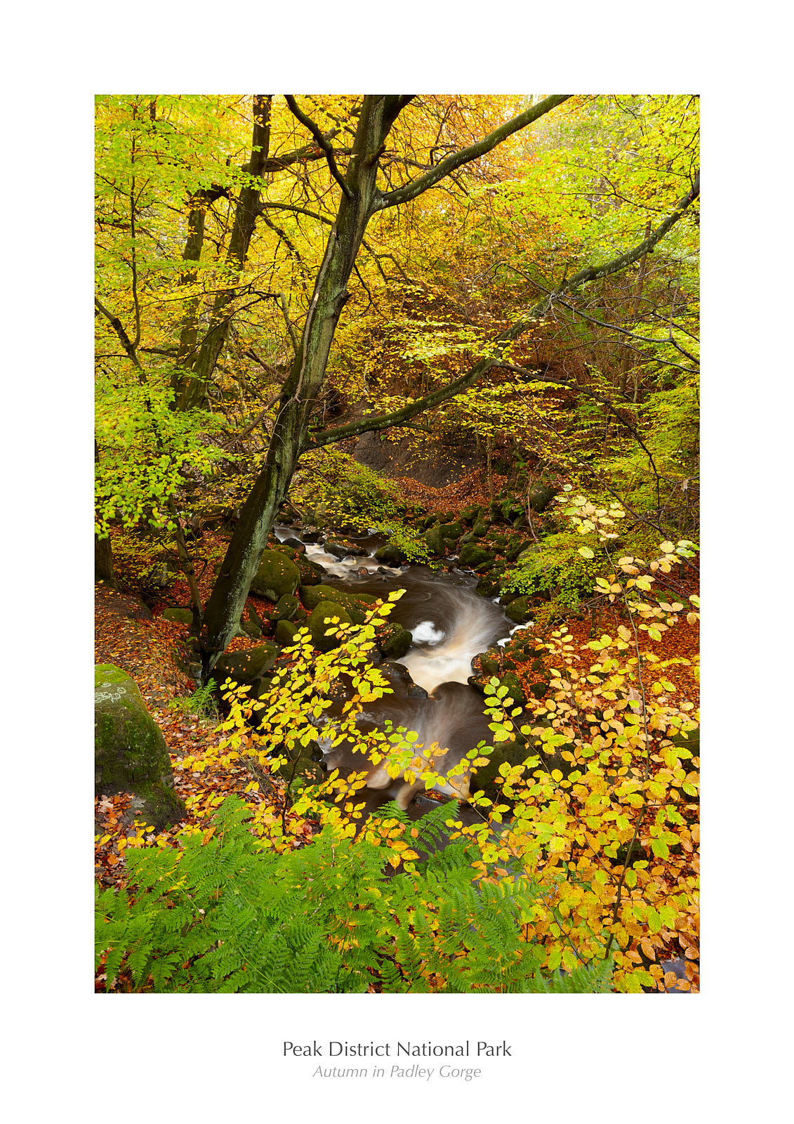 Burbage Brook, Padley Gorge