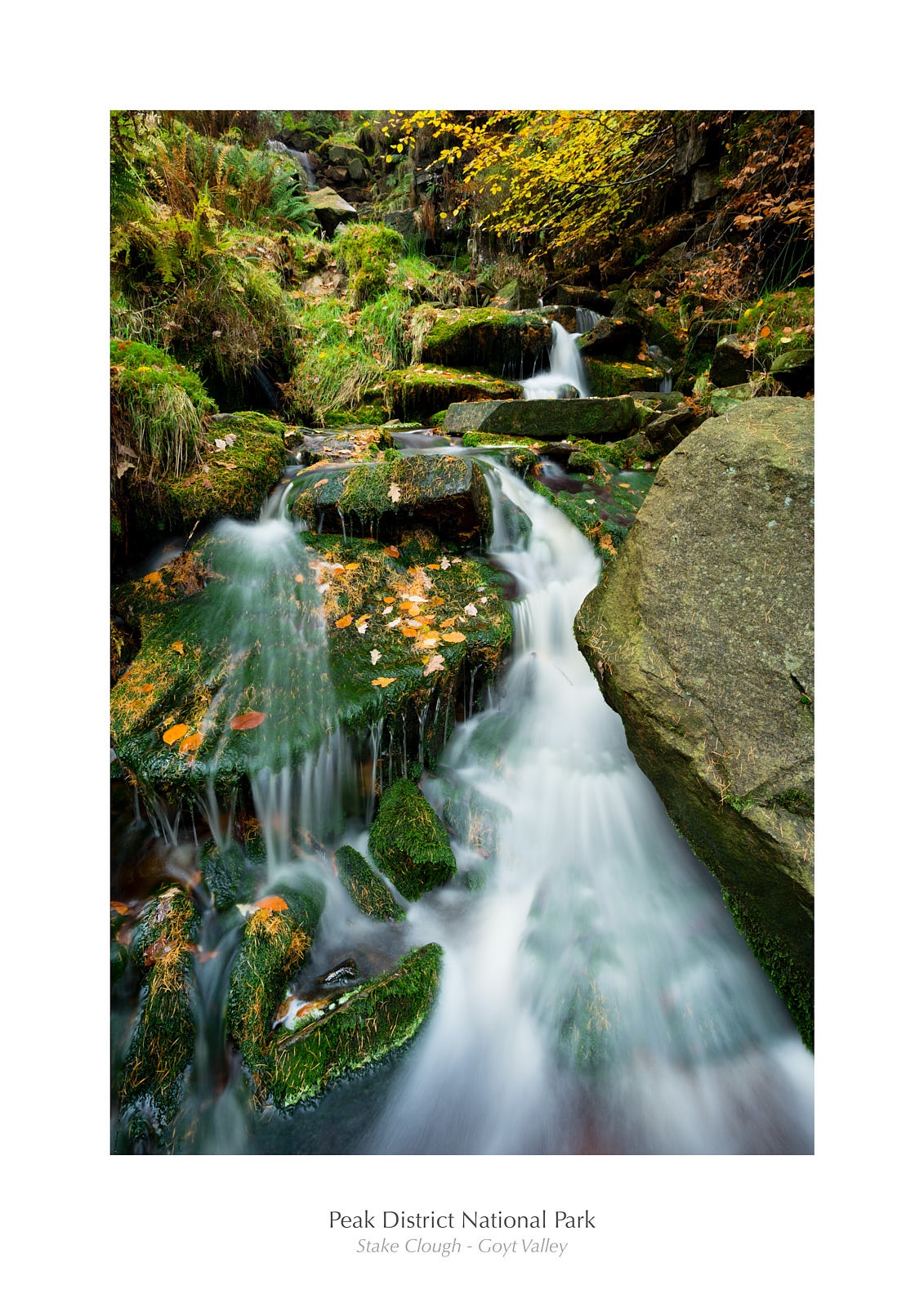 Stake Clough - Goyt Valley