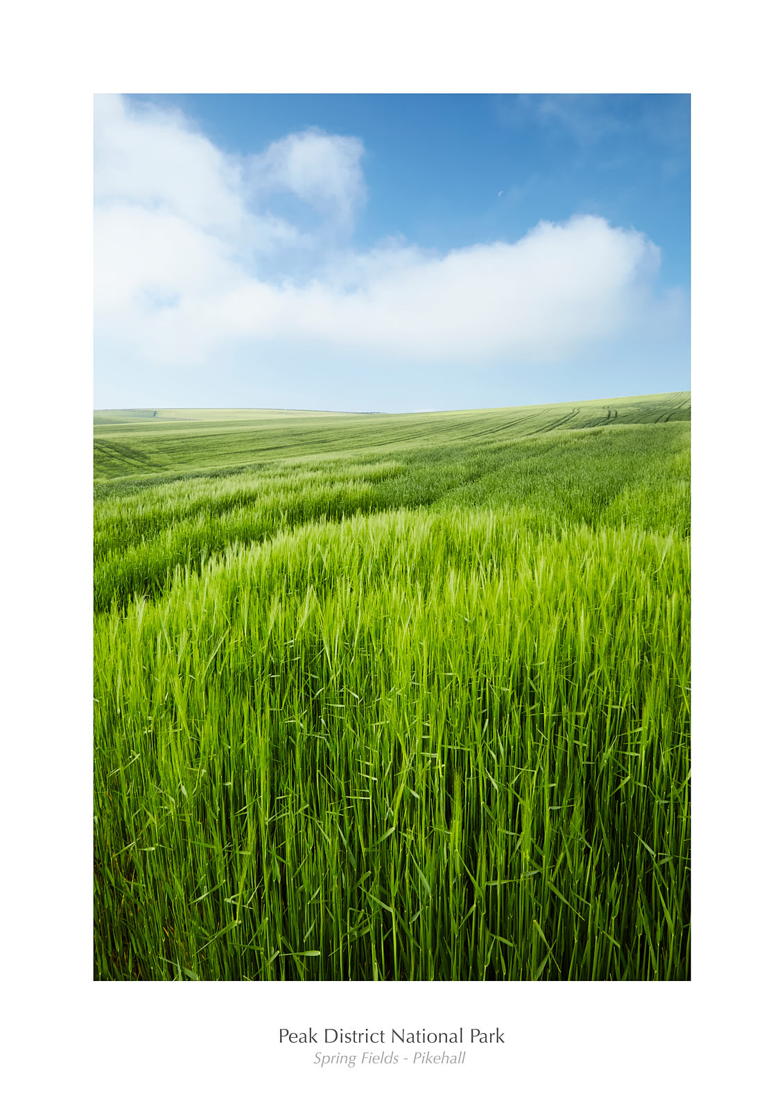 Spring Fields - Pike Hall