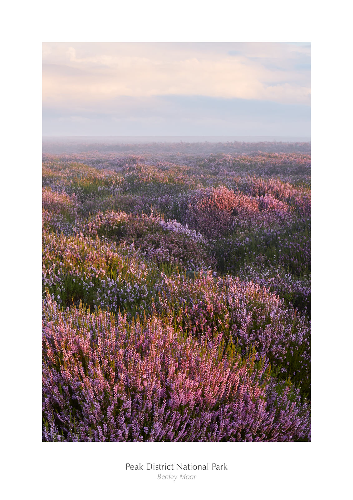 Beeley Moor