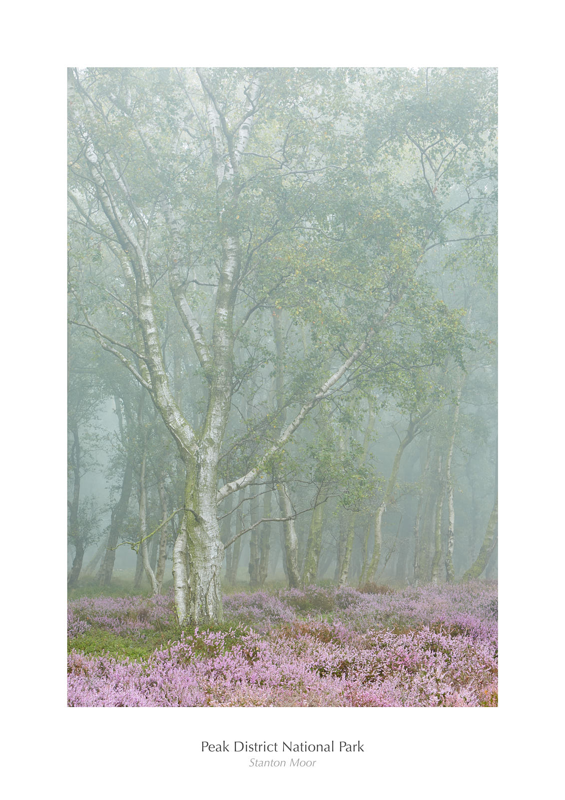 Stanton Moor